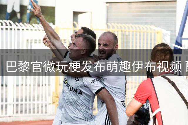 巴黎官微玩梗发布萌趣伊布视频 配文引发球迷热议
